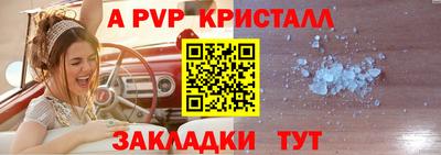 прущие грибы Краснознаменск
