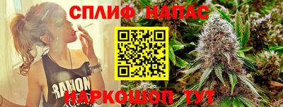 прущие грибы Краснознаменск