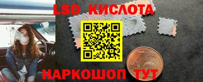 прущие грибы Краснознаменск