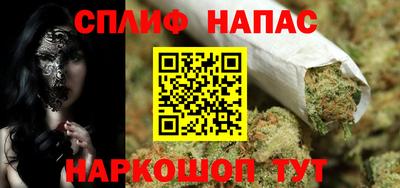 прущие грибы Краснознаменск