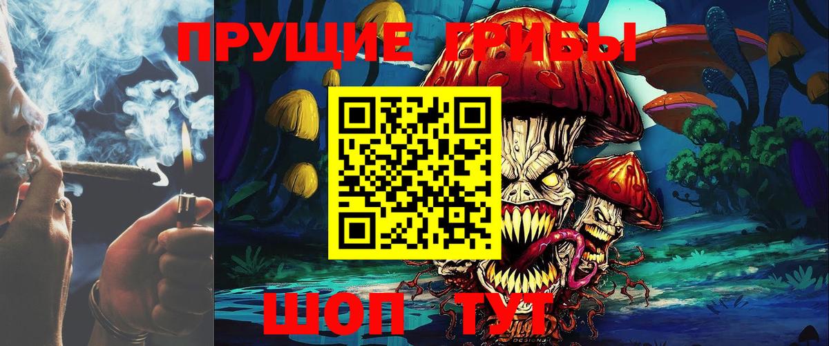 Галлюциногенные грибы MAGIC MUSHROOMS Корсаков