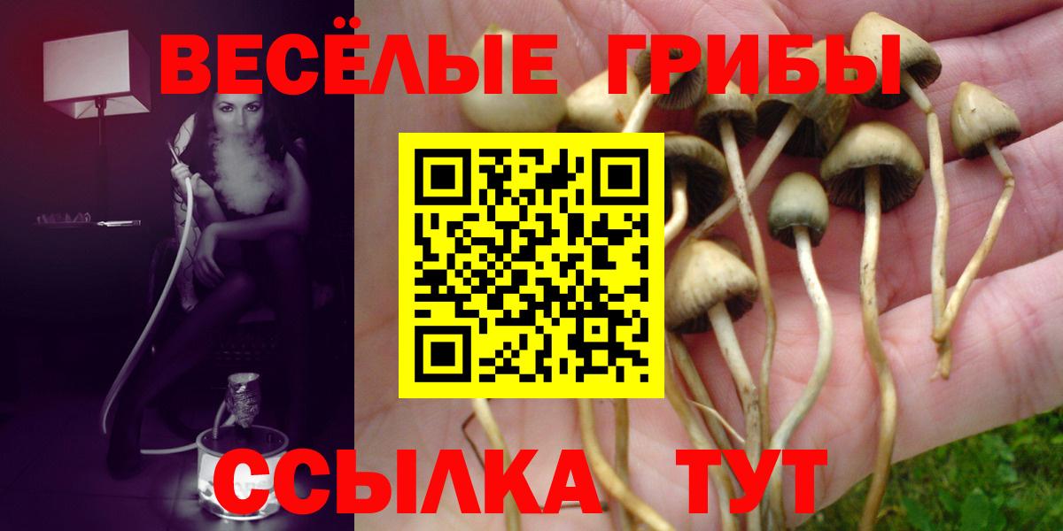 Корсаков  Псилоцибиновые грибы GOLDEN TEACHER  Псилоцибиновые грибы Psilocybe  даркнет сайт  Вход с VPN 
